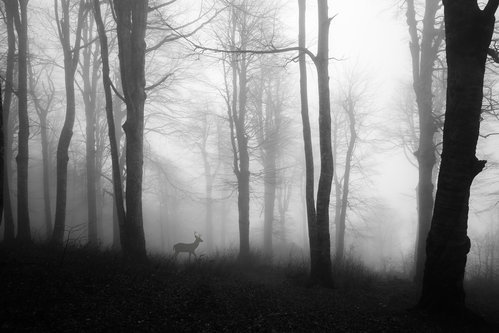 Wrapped Canvas Print, 81.28 cm H x 121.92 cm W