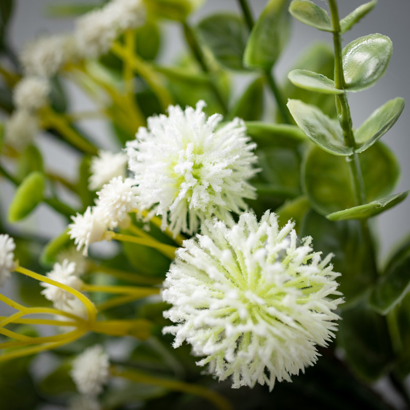 Sprays d'eucalyptus