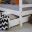 Timpson European Single (90 x 200cm) Solid Wood Bunk Bed by Mack + Milo