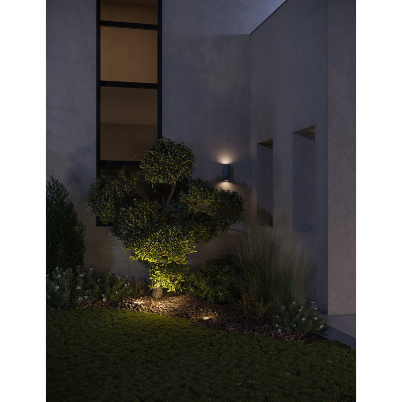 Hardy Island Low Voltage Hardwired Well Light