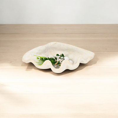Plateau en coquillage pour coquillages Vail