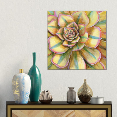 Yellow Striped Succulent by Linnea Tobias - No Frame Gallery-Wrapped Canvas Giclée on Canvas