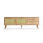 Shamong TV Stand-309269911