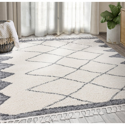 Geometric Indoor Rug