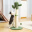 Grattoir 34 "Connard Cactus-298277253-317513941