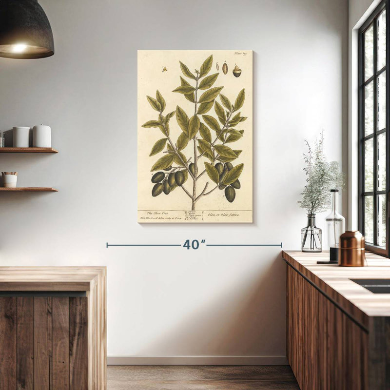 Keiri Olive Branch II, 39" H x 26" W