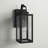 Schlesinger Outdoor Rectangular Clear Glass Shade Wall Light-189313782-233855030