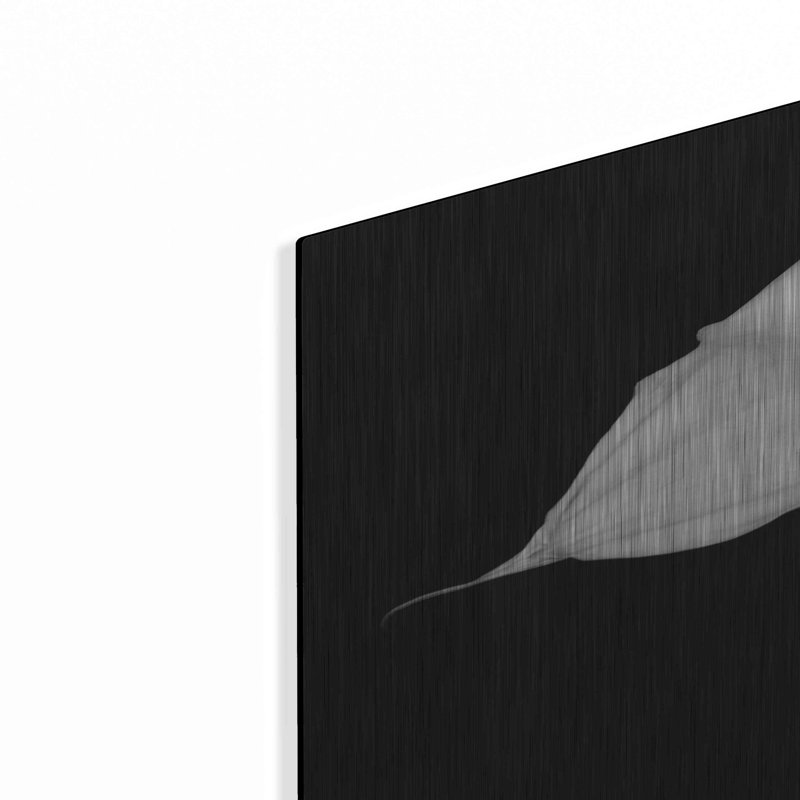 «Elegant Calla II» par Elise Cattera «Elegant Calla II» par Elise Catterall, H 36 po x l 24 po