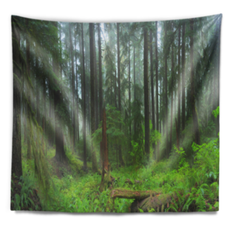 Tapisserie «Landscape Hoh Rain Forest», H 32 po x l 39 po