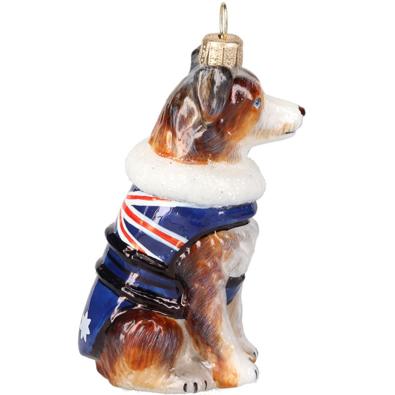 Australian Shepherd in Australia Flag Coat