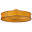 Luciano 6 - Light Semi Flush Mount