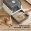 Cat Litter Box