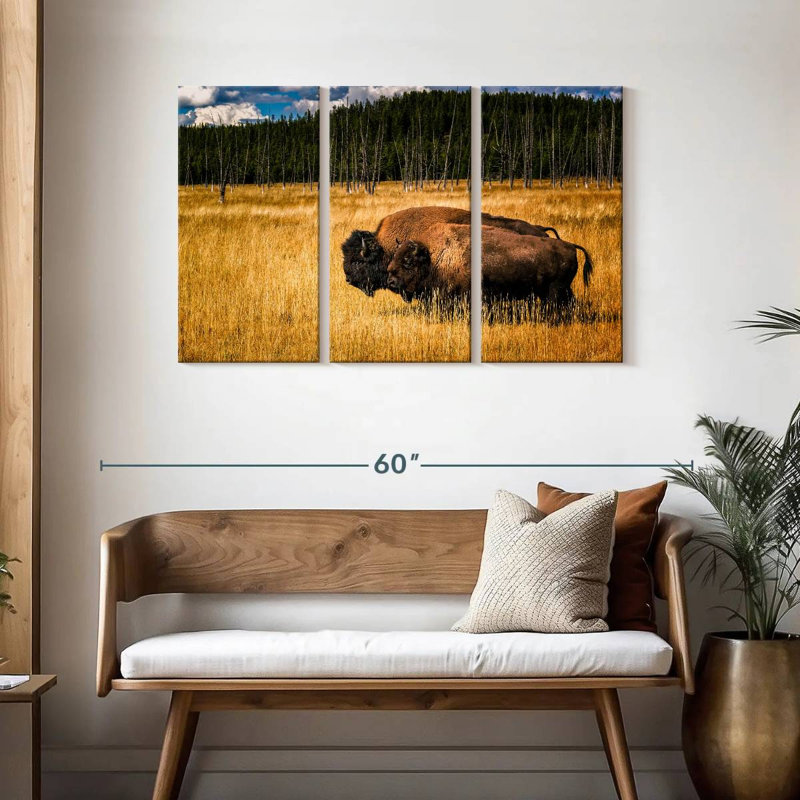 Brampt Bison In Summer, 28" H x 45" W