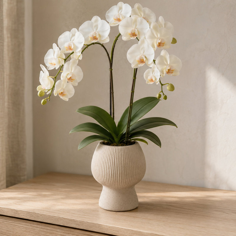 Pot en grès sculpté avec base piédestal Zoryana, 6.75, Matte Beige