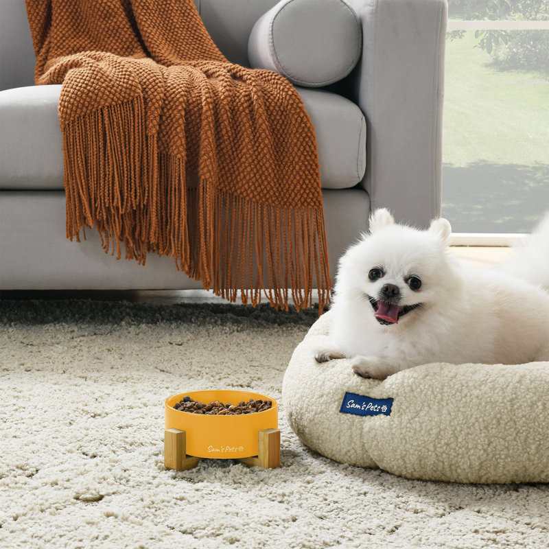 Coco and Pet Bowl, Yellow