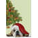 English Bulldog, Cookie Tree by Fab Funky - Wrapped Canvas Graphic Art Print