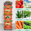 Ensemble de jardinières verticales Strawberry-125530083