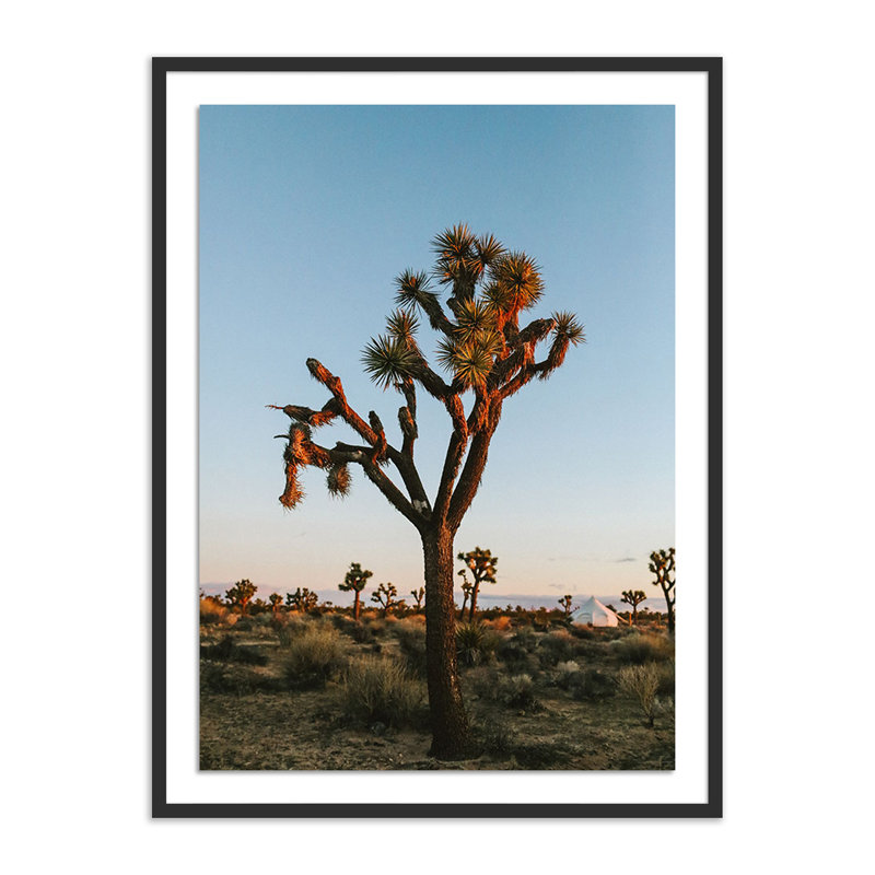 Camp Print by Wesley And Emma Teague, Yes, 72" H x 48" W, Black Maple Picture Framed