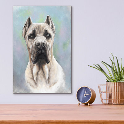 " Cane Corso 2 " by Barbara Keith