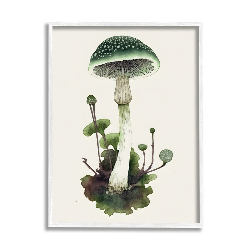 Bb-063 - Champignon vert forêt encadré sur bois, H 20 po x l 16 po x P 1,5 po, Giclée encadrée blanc bord de mer
