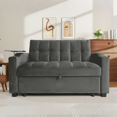 Williams Pull Out Sleeper Sofa