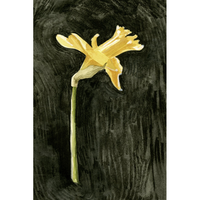 Dark Daffodils II by Emma Caroline - Wrapped Canvas Print, 46cm H x 30cm W