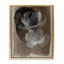 «Gossamer Roses on Brown Gold», art par Annabelle Hall-721612307-722379386