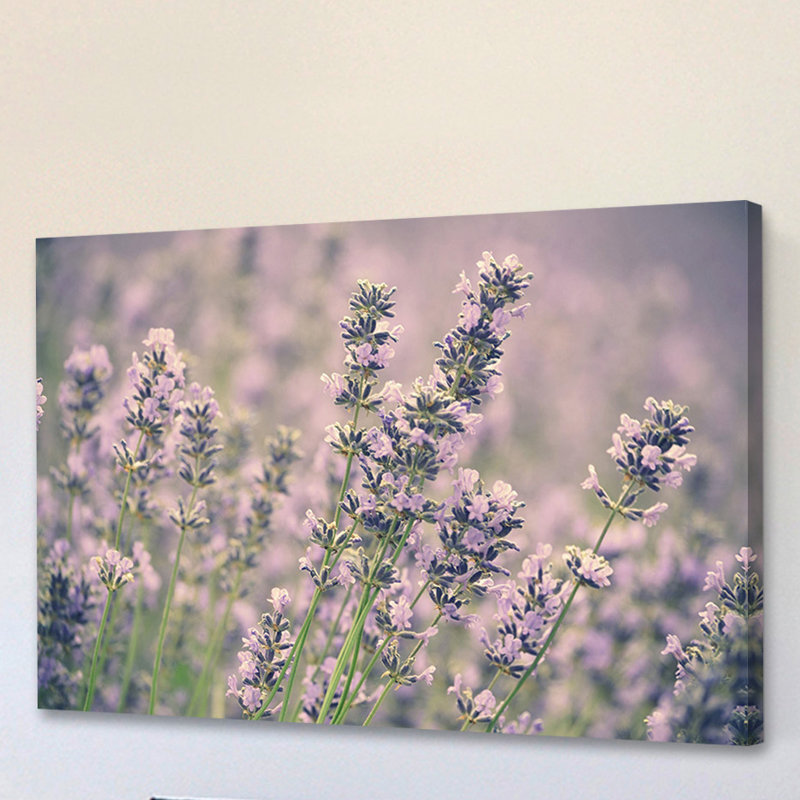 Reproduction d’art sur toile tendue, "lavande" par robin, H 12 po x l 18 po x P 1,5 po