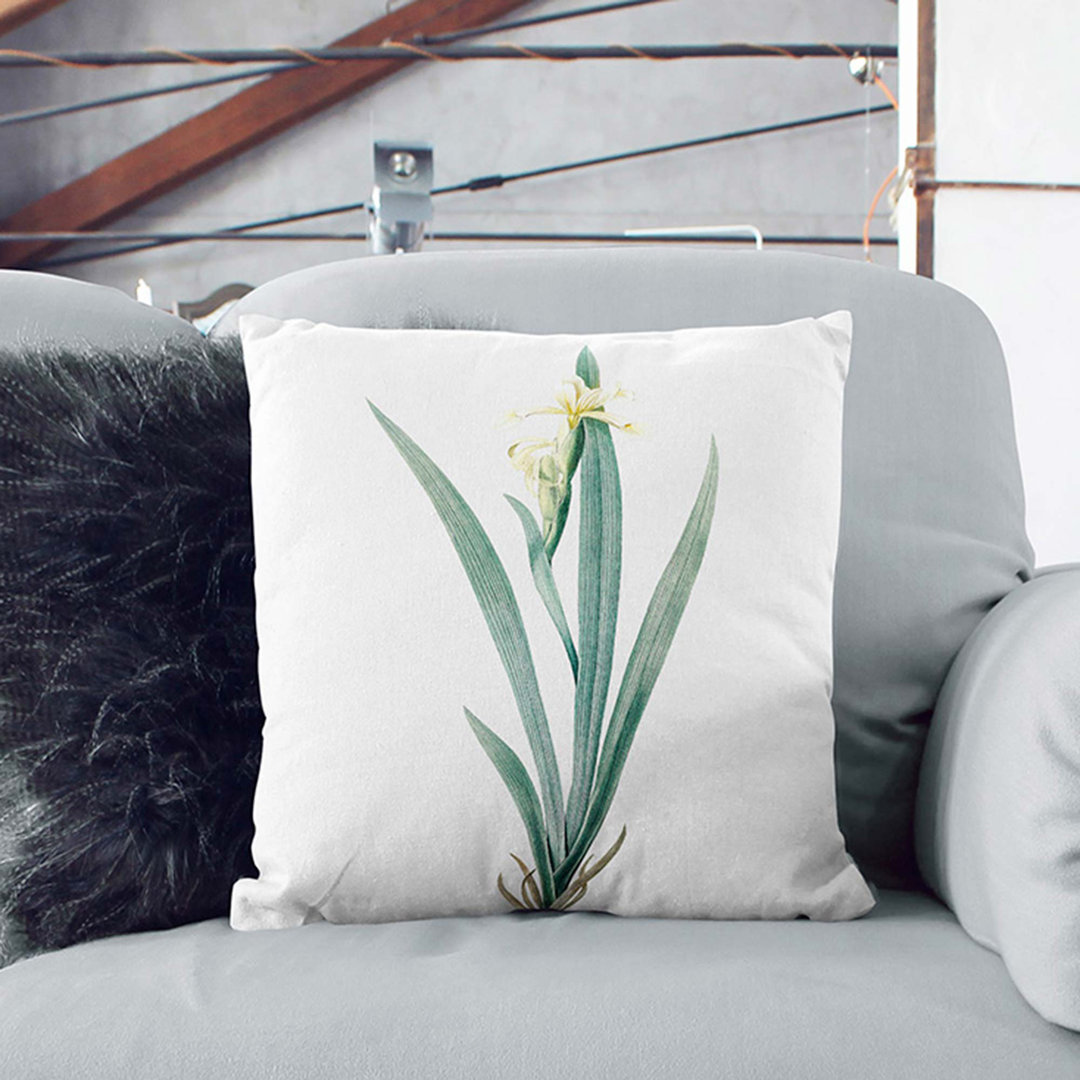 Banded Iris by Pierre-Joseph Redoute Cushion with Filling