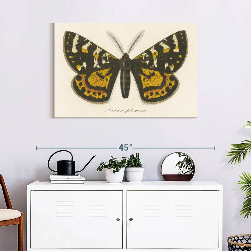 Brampt Natures Butterfly V, 24" H x 36" W