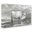 Bull In A Meadow by Jean Bernard - Wrapped Canvas Print-55361964