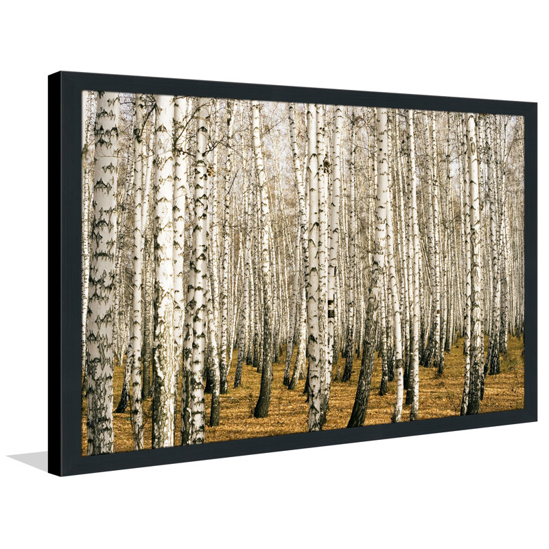Single Picture Frame Photograph, 27.5" H x 39.5" W x 0.75" D