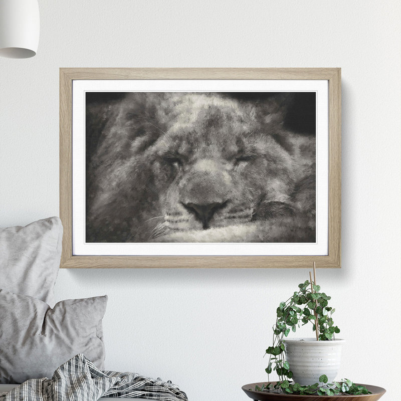 Lion Vol.2 - Picture Frame Graphic Art, Oak Framed, 27cm H x 36cm W x 2cm D