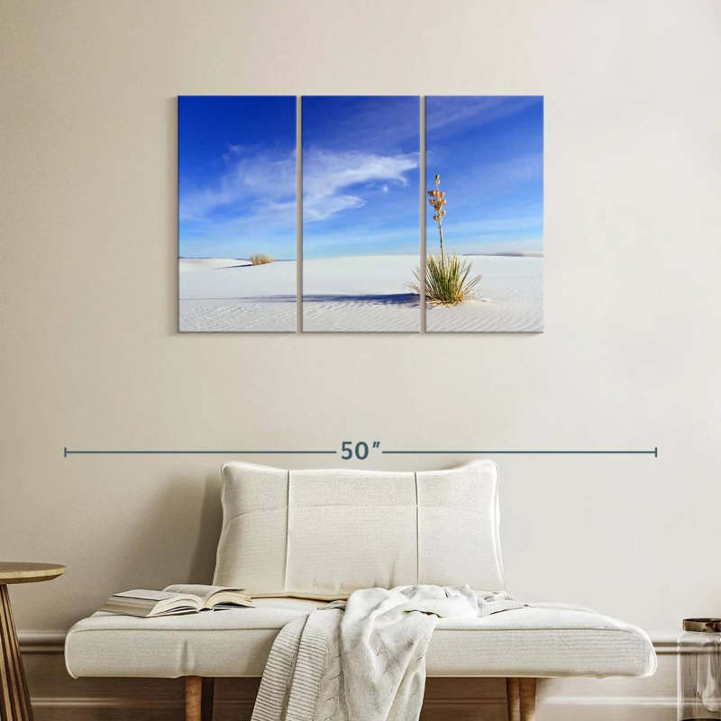 Yucca solitaire Alvord, H 24 po x l 38 po