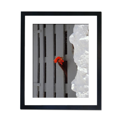 Single Picture Frame Print