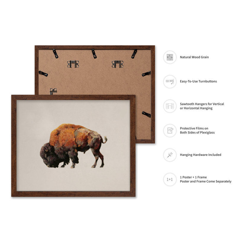 Bison bull, 16"H x 20"W, Poster, Brown Framed