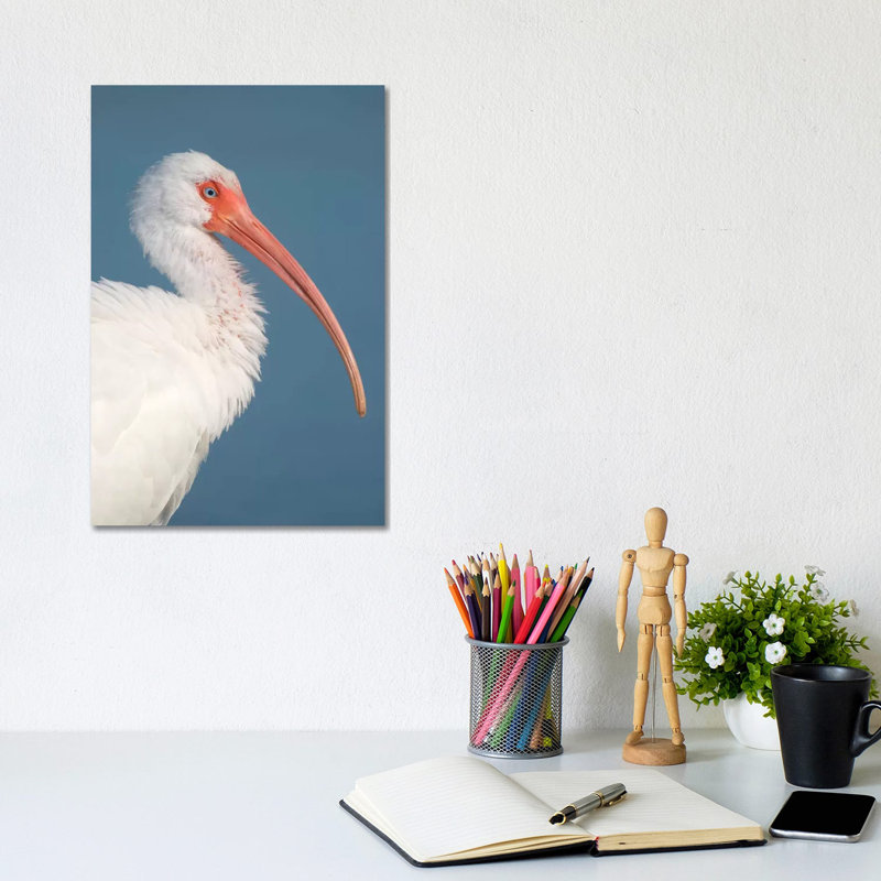 White Ibis, Fort Myers Beach, Florida II 1 Piece Wrapped Canvas Wall Art, 20.32 cm H x 30.48 cm W