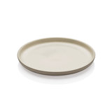 Joyn Stoneware Dinner Plate