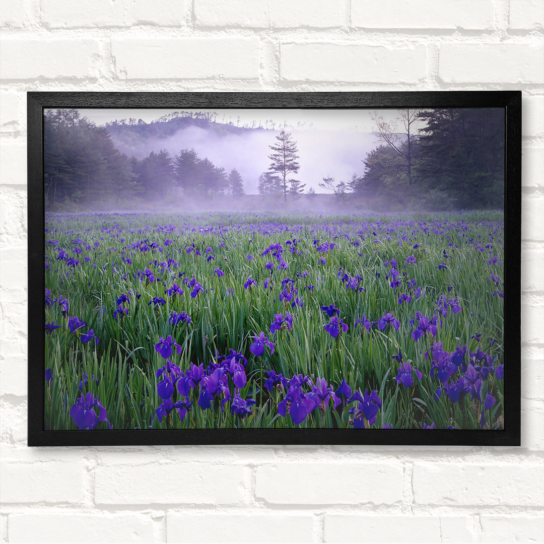 Gerahmtes Wandbild Bluebell Mist