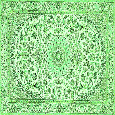 Mazayah Performance Oriental Indoor Rug