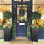 Square Plant Pot-134406445-35994144