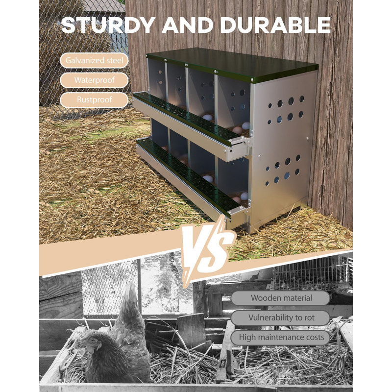 4m² Chicken Coop