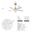 Ventilateur de plafond intérieur chaud 42 pouces avec lumière DEL à intensité variable, 5 pales en bois massif, télécommande, moteur à courant continu-1511715569-1511715568