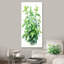 Herbes, menthe, fraîcheur 1 - Art floral-743447315-777296837