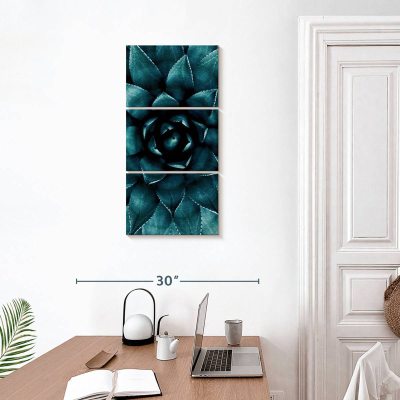 Fleur de cactus I