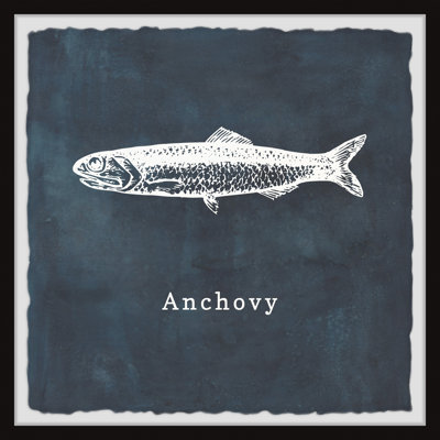 Anchovy - Single Picture Frame Print