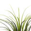 Yucca artificiel en pot-83242077-125320799