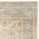 Lyniya Performance Oriental Rug