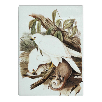 Tempered Glass Goshawks by Elizabeth Gould Chopping Board