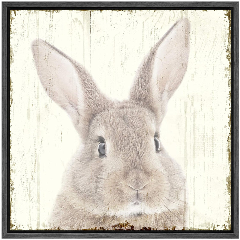 Nursery Baby Bunny, reproduction d'art sur toile, H 24 po x l 24 po x P 1,5 po